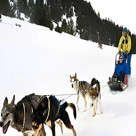 Mim Baqueira Member Of Melia Collection Viella (Siero)
